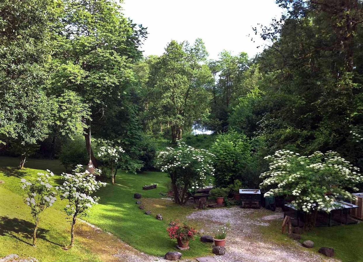 Pas De Deux Bed & Breakfast Sainte-Marie-en-Chanois Eksteriør bilde